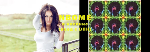 шишки Алексин