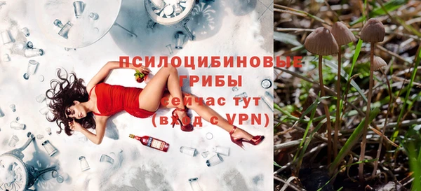 винт Алексеевка