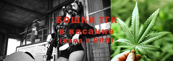 шишки Алексин