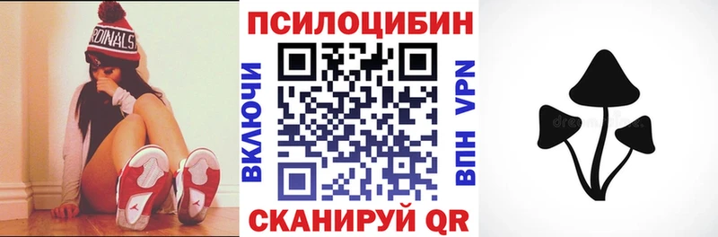 купить наркоту  Королёв  Галлюциногенные грибы MAGIC MUSHROOMS 